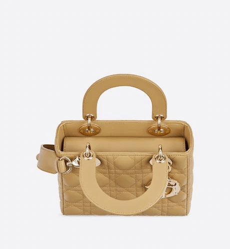 Christian Dior My ABCDior lambskin bag