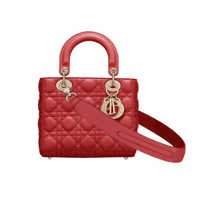 Christian Dior My ABCDior lambskin bag