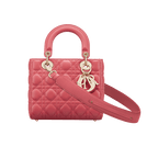 Christian Dior My ABCDior lambskin bag