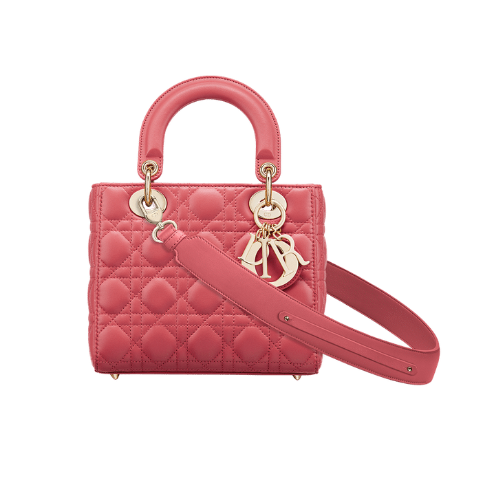 Christian Dior My ABCDior lambskin bag
