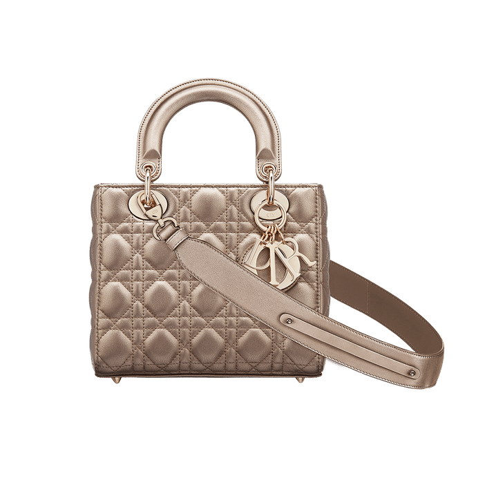 Christian Dior My ABCDior calfskin bag