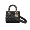 Chrisatian Dior My ABCDior satin bag