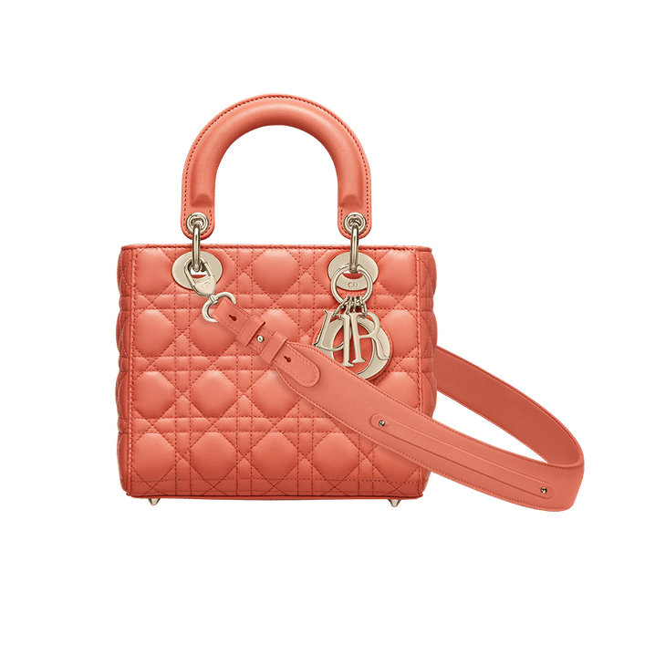 Christian Dior Indian Red My ABCDior Lambskin Bag