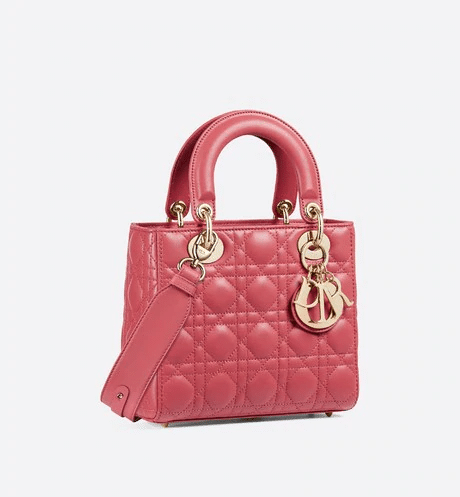 Christian Dior My ABCDior lambskin bag