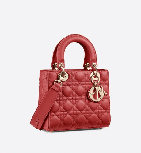 Christian Dior My ABCDior lambskin bag