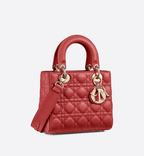 Christian Dior My ABCDior lambskin bag