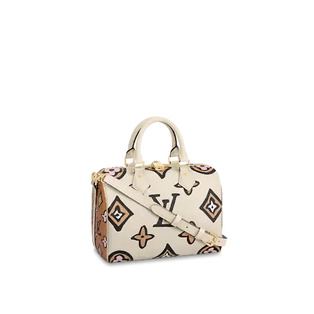 Louis Vuitton Speedy Bandoulière 25 Bag