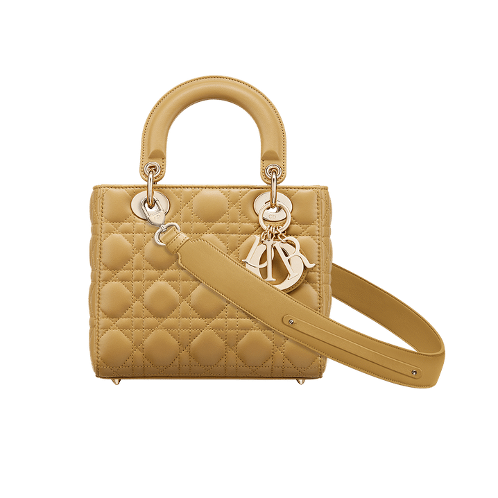 Christian Dior My ABCDior lambskin bag