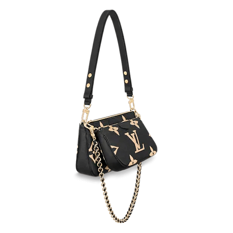 Louis Vuitton Multi Pochette Accessoires Bag