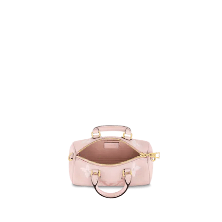 Louis Vuitton Papillon BB Bag