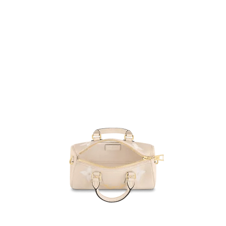 Louis Vuitton Papillon BB Bag