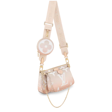 Louis Vuitton Multi Pochette Accessoires Bag