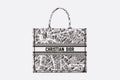LARGE DIOR BOOK TOTE