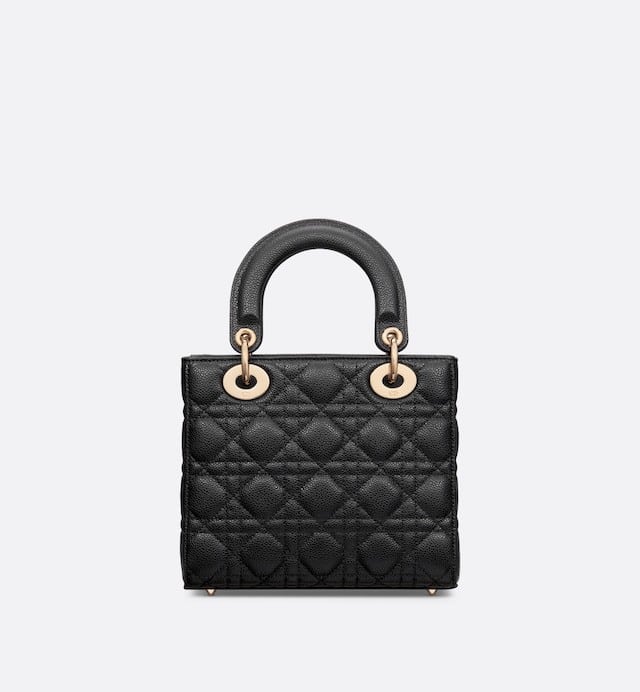 SMALL LADY DIOR BAG