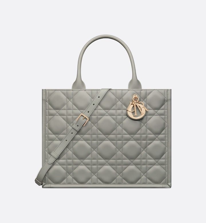 Medium Dior Book Tote