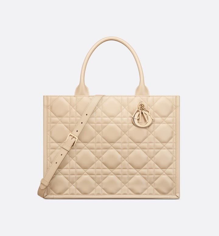 Medium Dior Book Tote