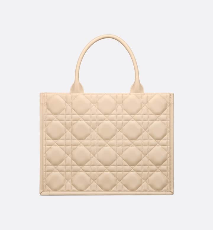 Medium Dior Book Tote