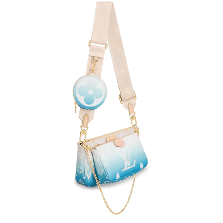 Louis Vuitton Multi Pochette Accessoires Bag