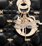 Small Lady Dior My ABCDior Bag