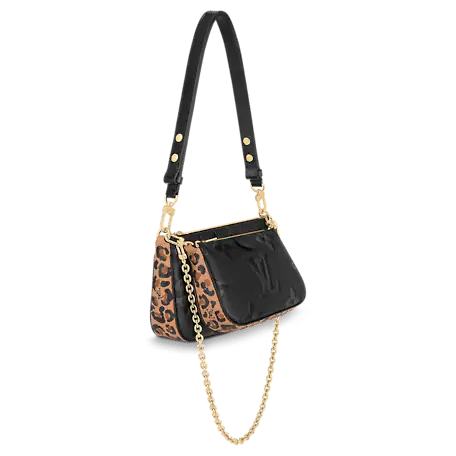 Louis Vuitton Multi Pochette Accessoires Bag