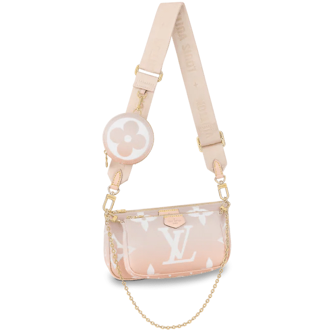 Louis Vuitton Multi Pochette Accessoires Bag