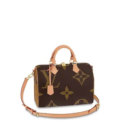 Louis Vuitton Speedy Bandouliere 30 Bag