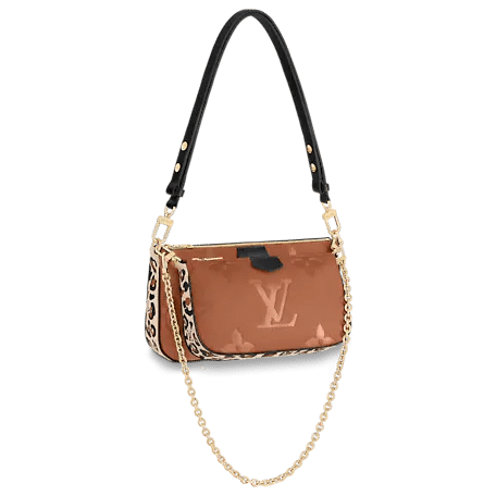 Louis Vuitton Multi Pochette Accessoires Bag