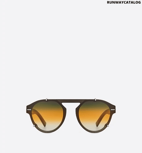 Christian Dior Black Tie Gray Pantos Sunglasses