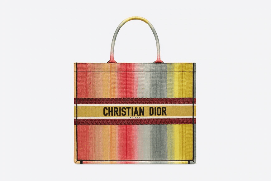 Christian Dioraura Dior Book Tote