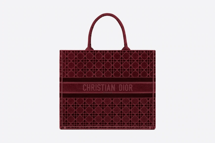 Christian Dior Book Tote