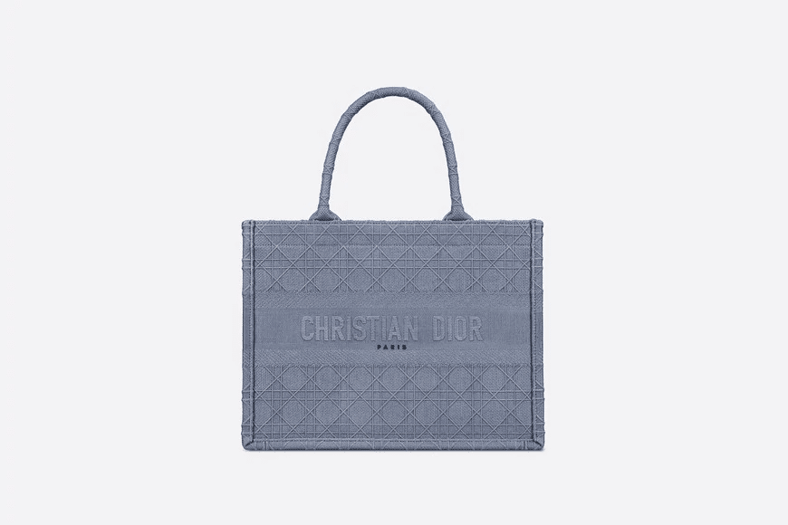 Christian Dior Small Dior Book Tote