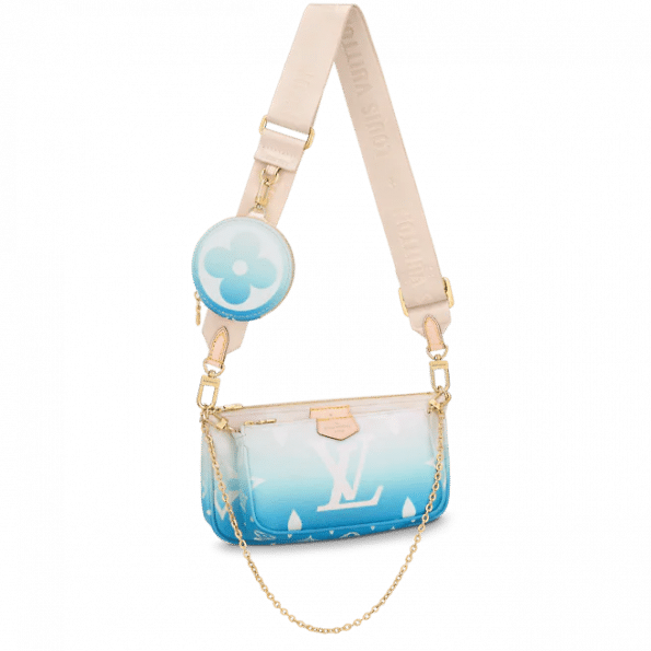 Louis Vuitton Multi Pochette Accessoires Bag