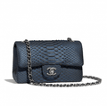 Chanel Blue Python CC Classic Double Flap Bag
