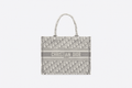 Christian Dior Small Dior Book Tote
