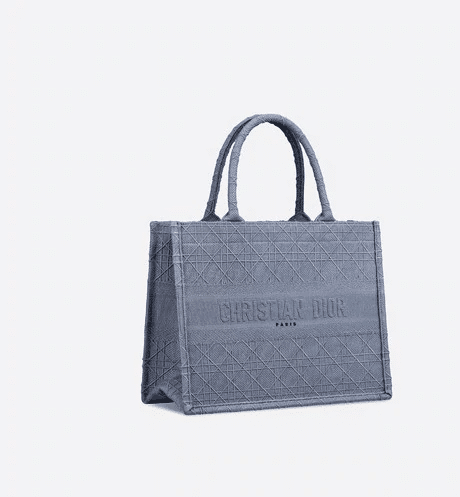 Christian Dior Small Dior Book Tote