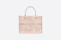Christian Dior Small Dior Book Tote