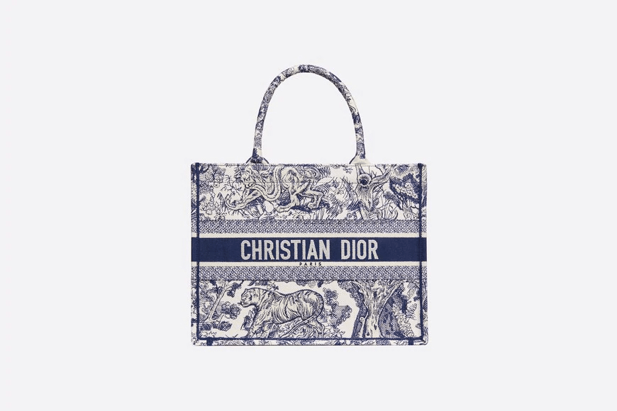 Christian Dior Small Dior Book Tote