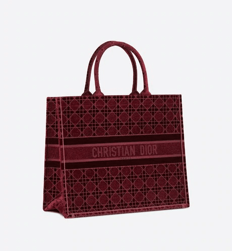 Christian Dior Book Tote