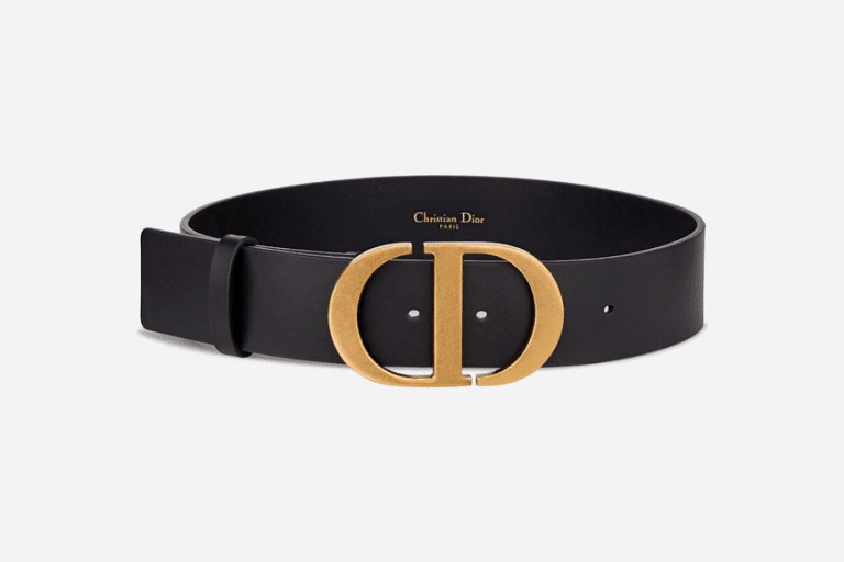 Christian Dior Saddle calfskin Women belt