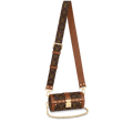 Louis Vuitton Papillon Trunk Bag