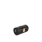 Louis Vuitton Papillon Trunk