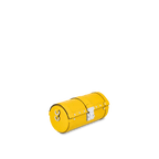 Louis Vuitton Papillon Trunk in Yellow