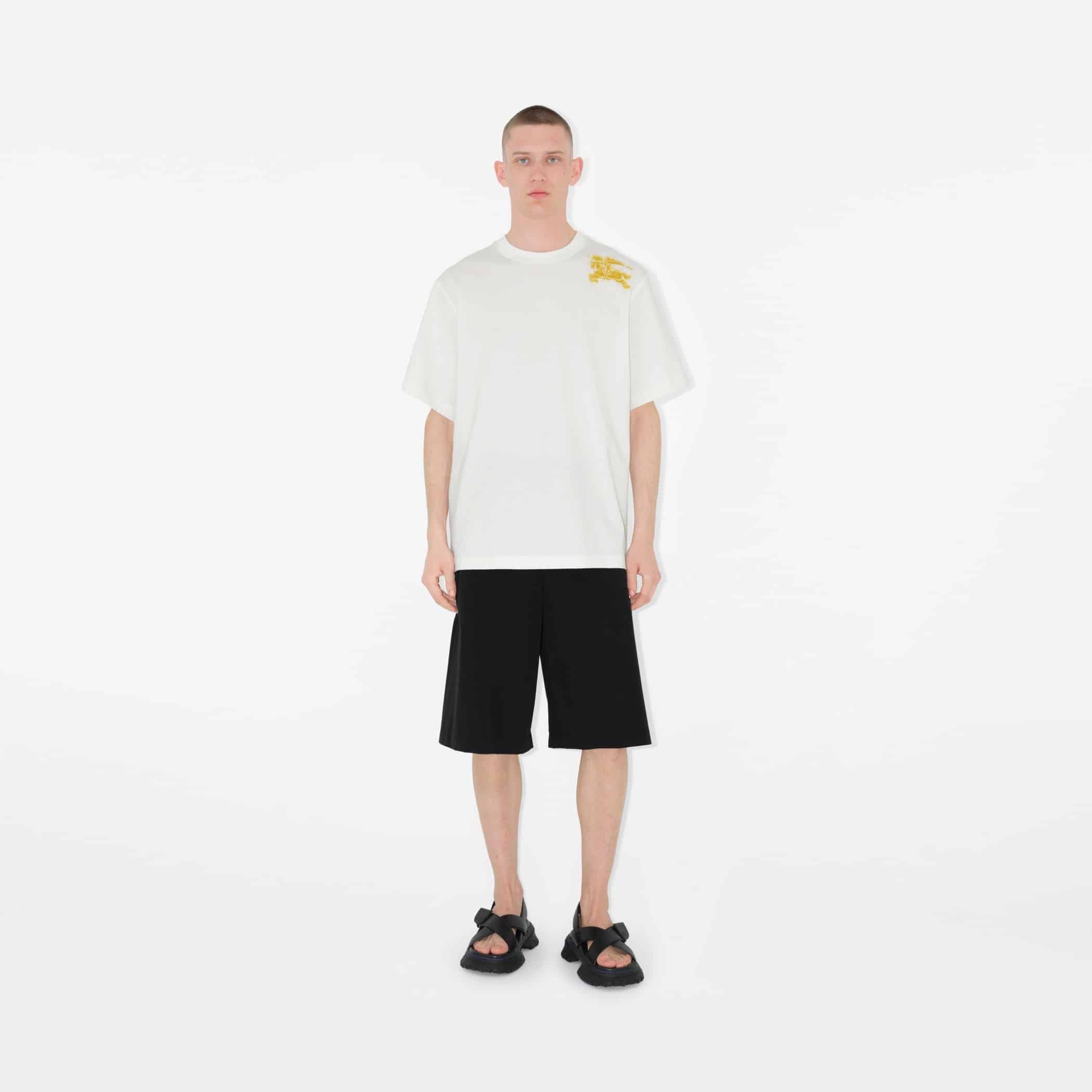 Cotton T-shirtPrice undefined Colour: Salt
