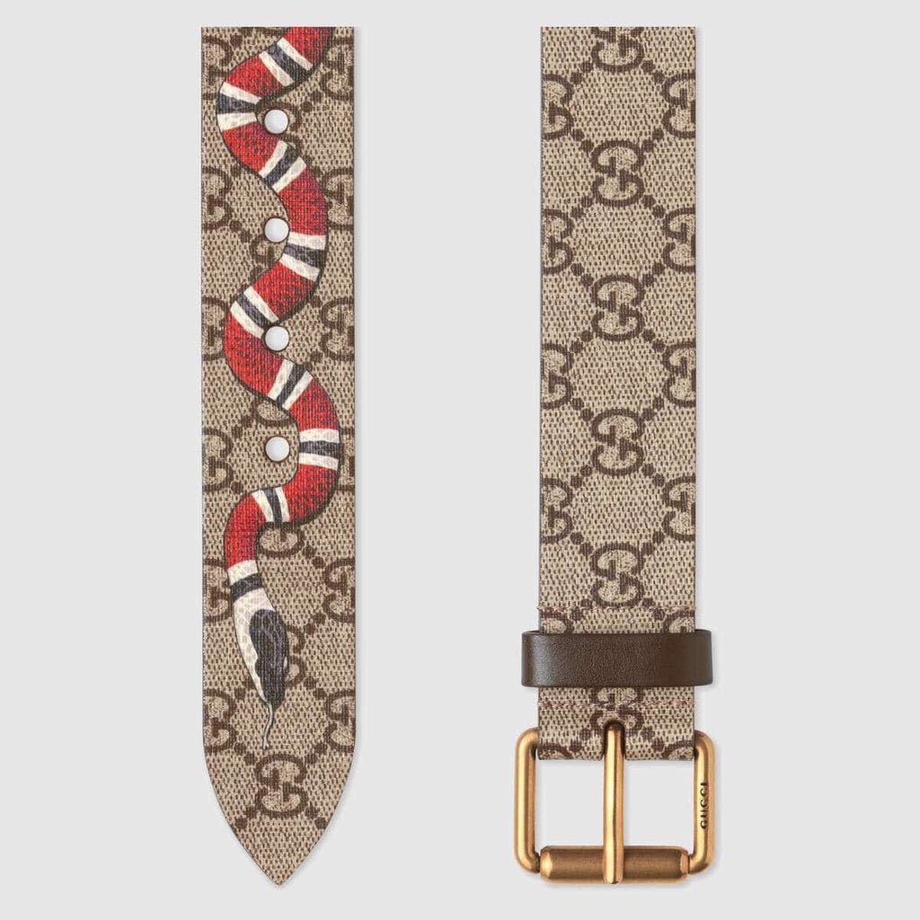 Gucci GG Supreme belt with Kingsnake print