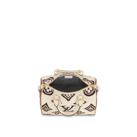 Louis Vuitton Speedy Bandoulière 25 Bag