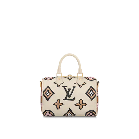 Louis Vuitton Speedy Bandoulière 25 Bag