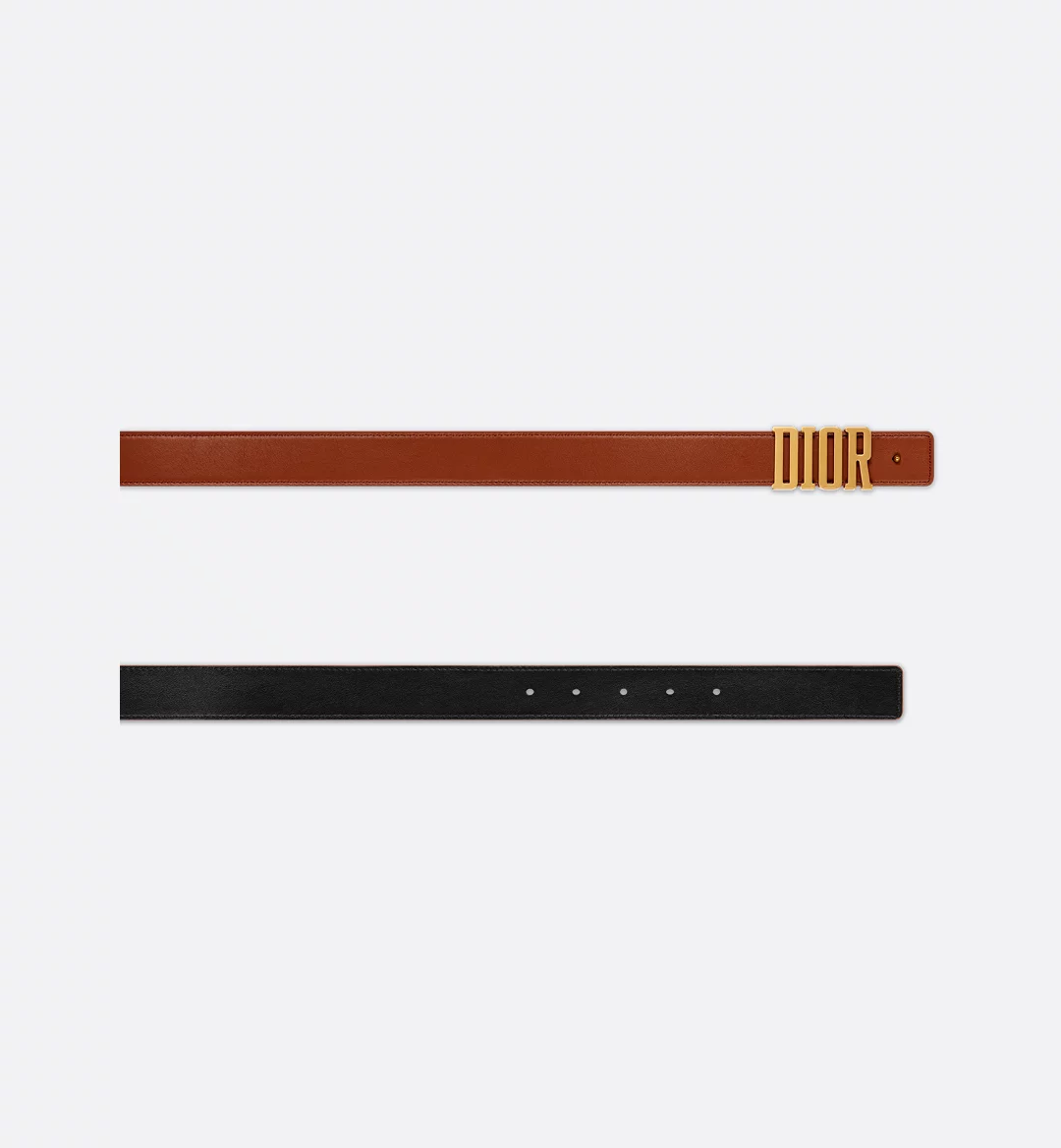 D-Fence Reversible Belt