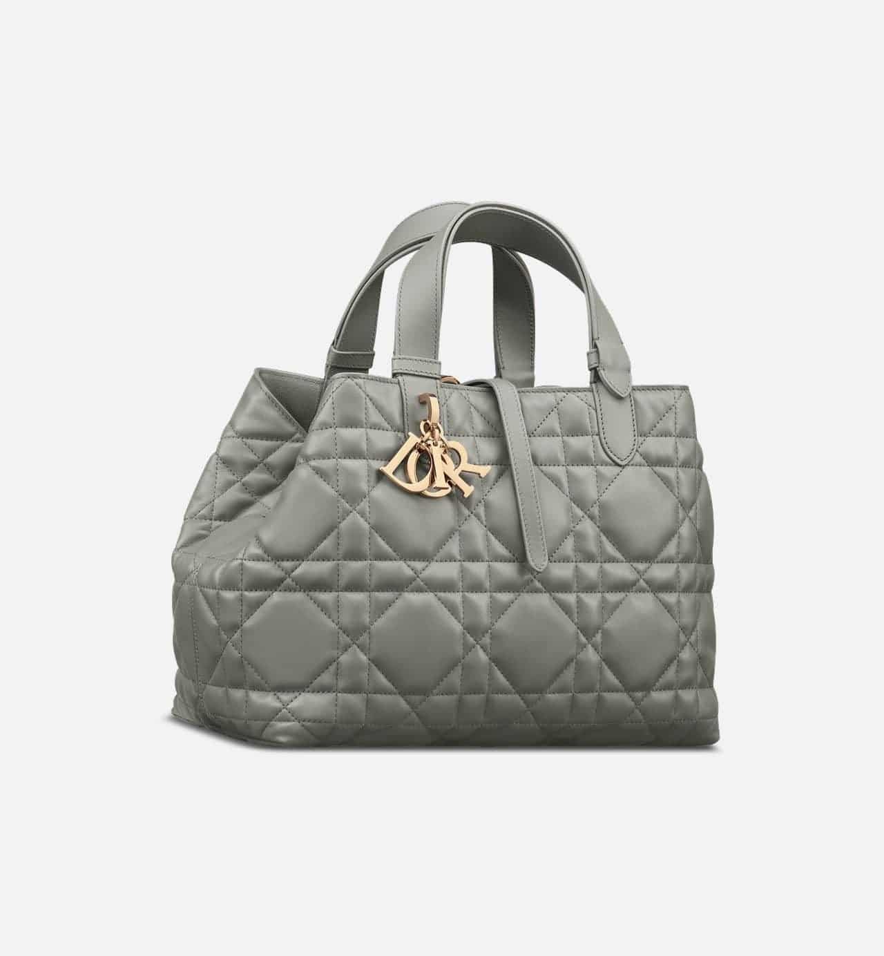 Medium Dior Toujours Bag