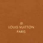 LV Side Trunk PM Bag