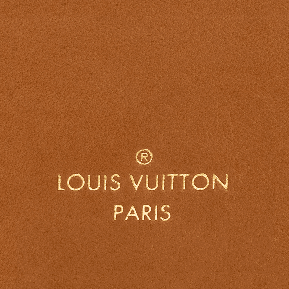 LV Side Trunk PM Bag